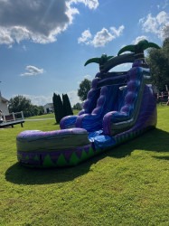 Sea20Urchin202 1737071556 Sea Urchin~ 19 ft Waterslide