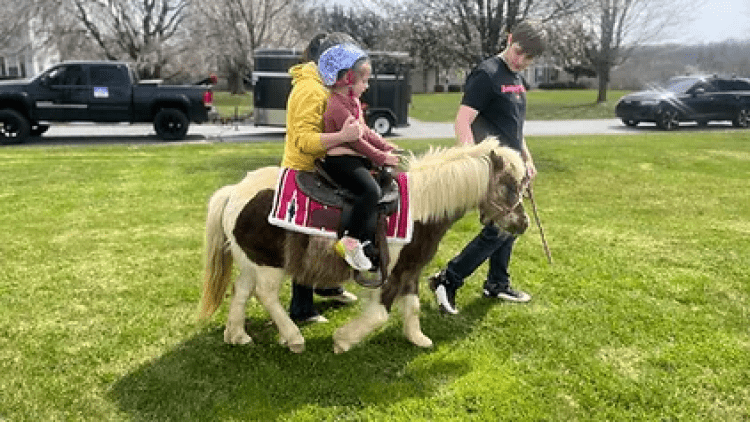 Pony Rides
