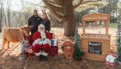 🐮 Highland Cow Photo Session  On the Farm